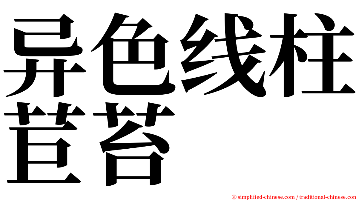 异色线柱苣苔 serif font