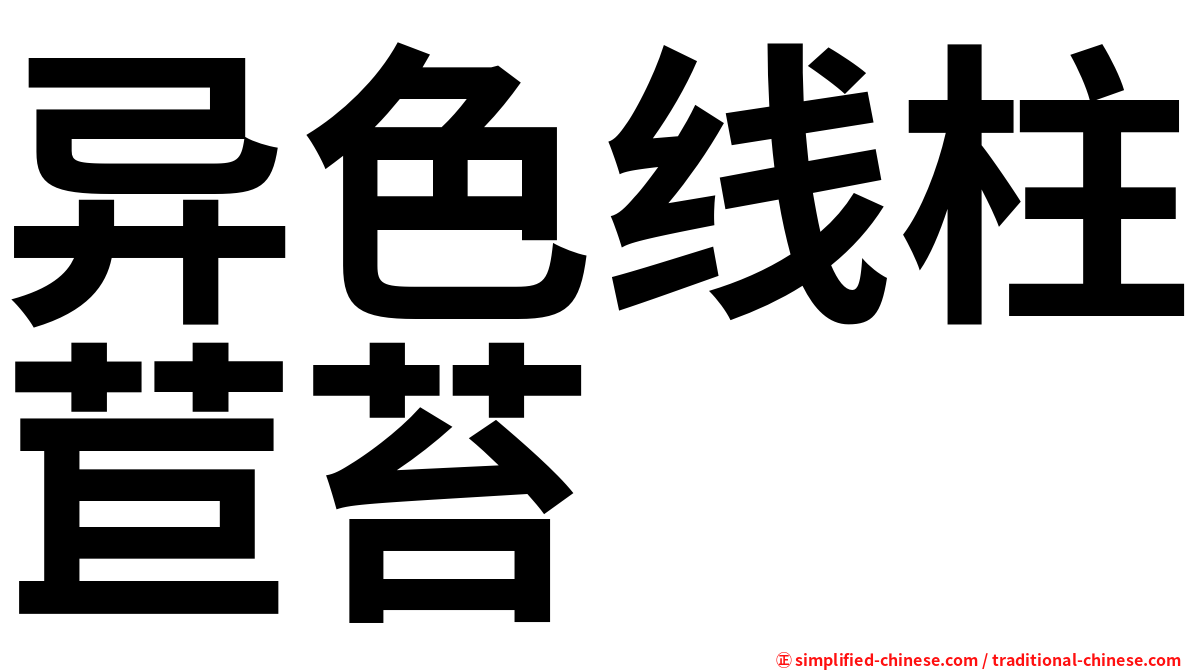 异色线柱苣苔