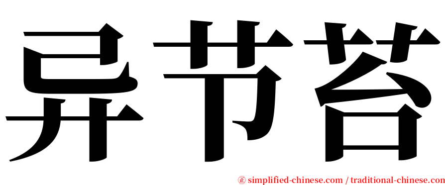 异节苔 serif font