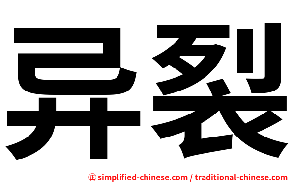 异裂