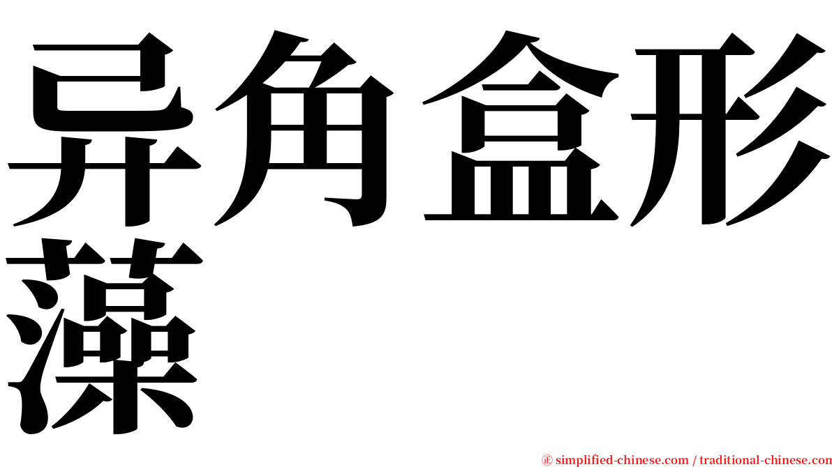 异角盒形藻 serif font
