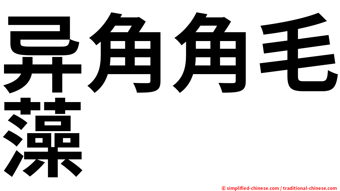 异角角毛藻