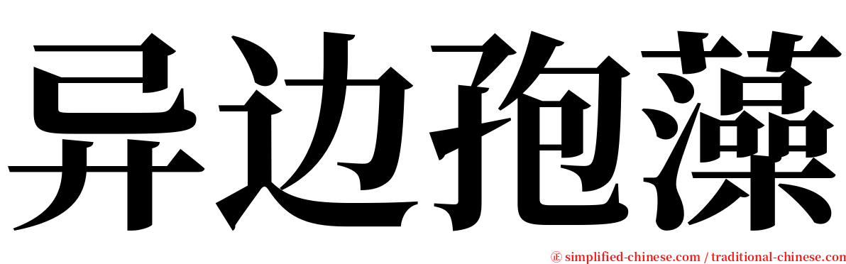 异边孢藻 serif font