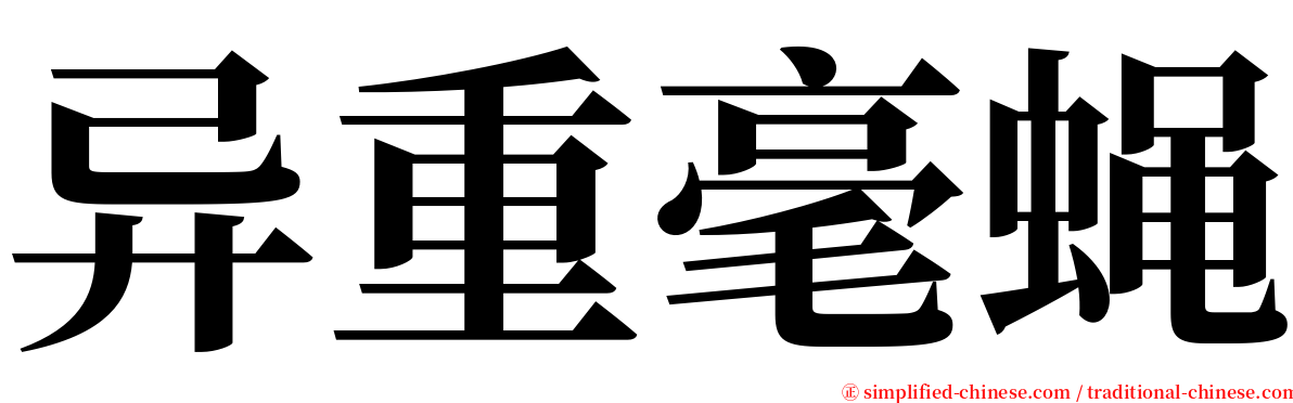 异重毫蝇 serif font