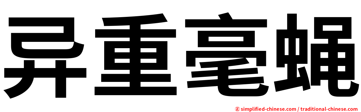 异重毫蝇