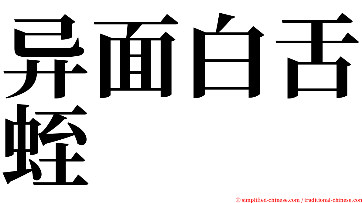 异面白舌蛭 serif font