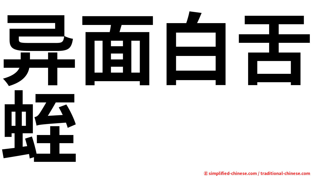 异面白舌蛭