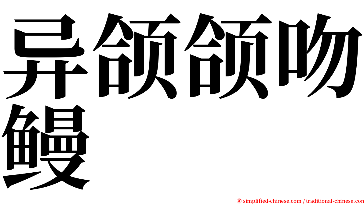 异颌颌吻鳗 serif font