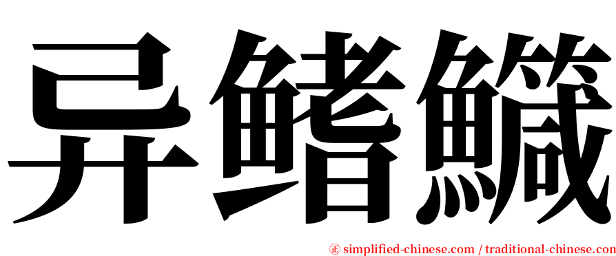 异鳍鱵 serif font