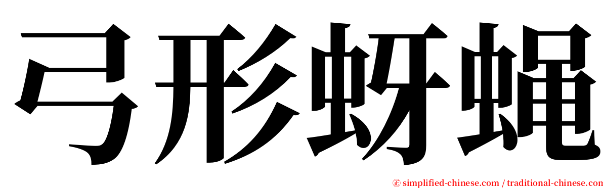 弓形蚜蝇 serif font