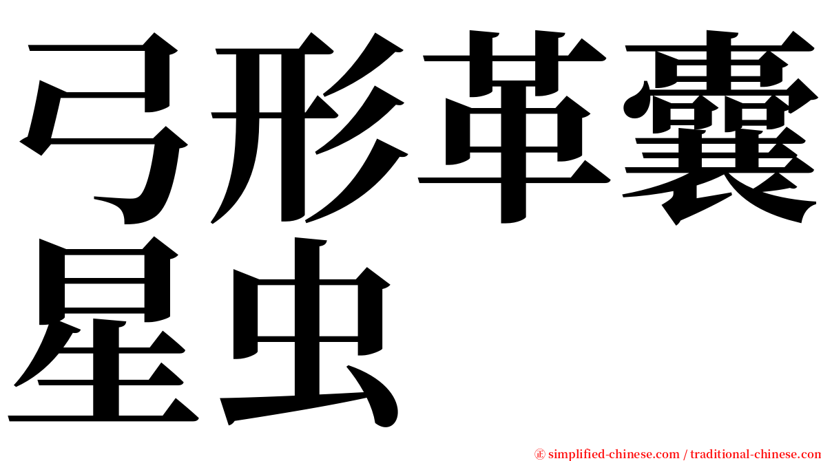 弓形革囊星虫 serif font
