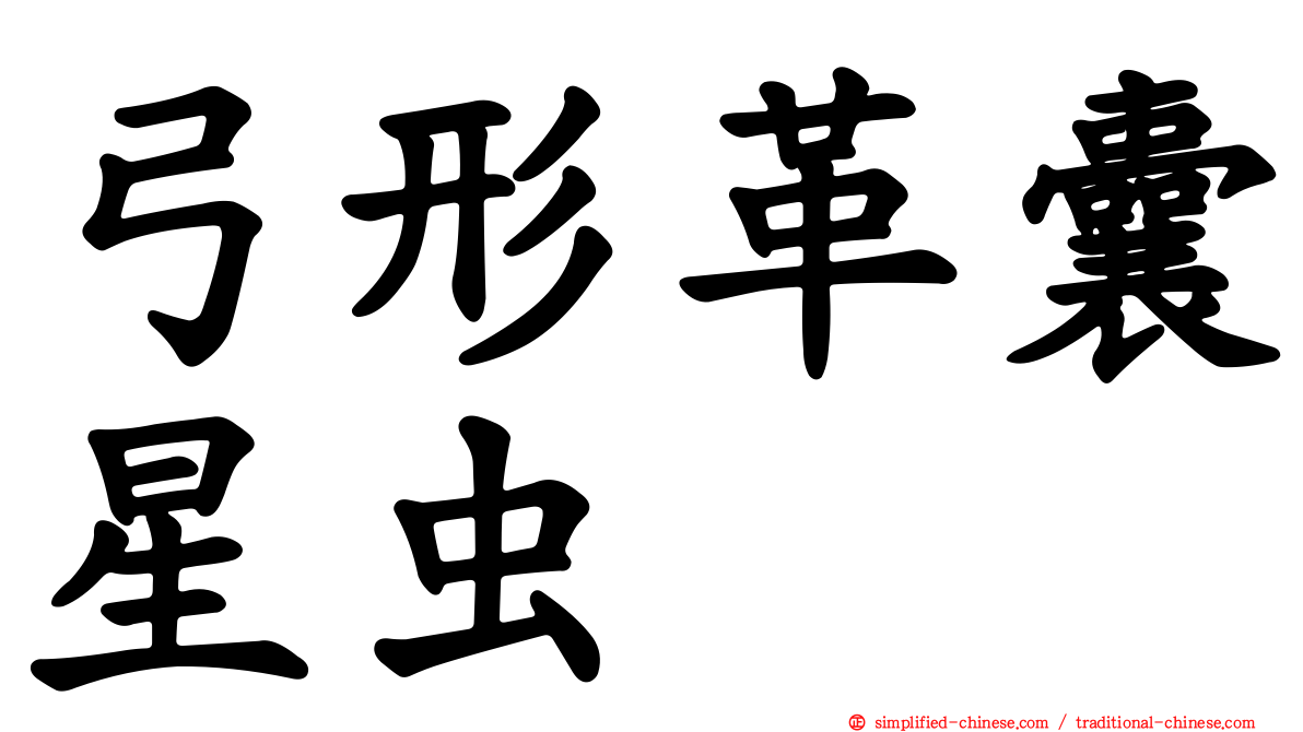 弓形革囊星虫