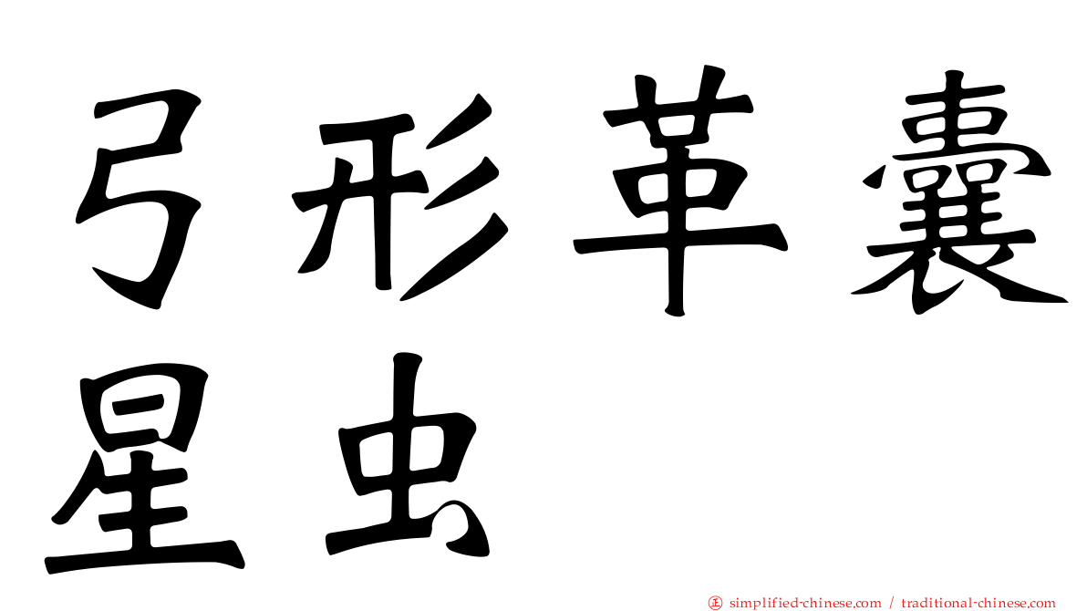 弓形革囊星虫