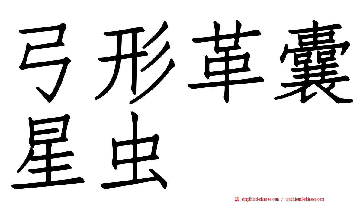 弓形革囊星虫
