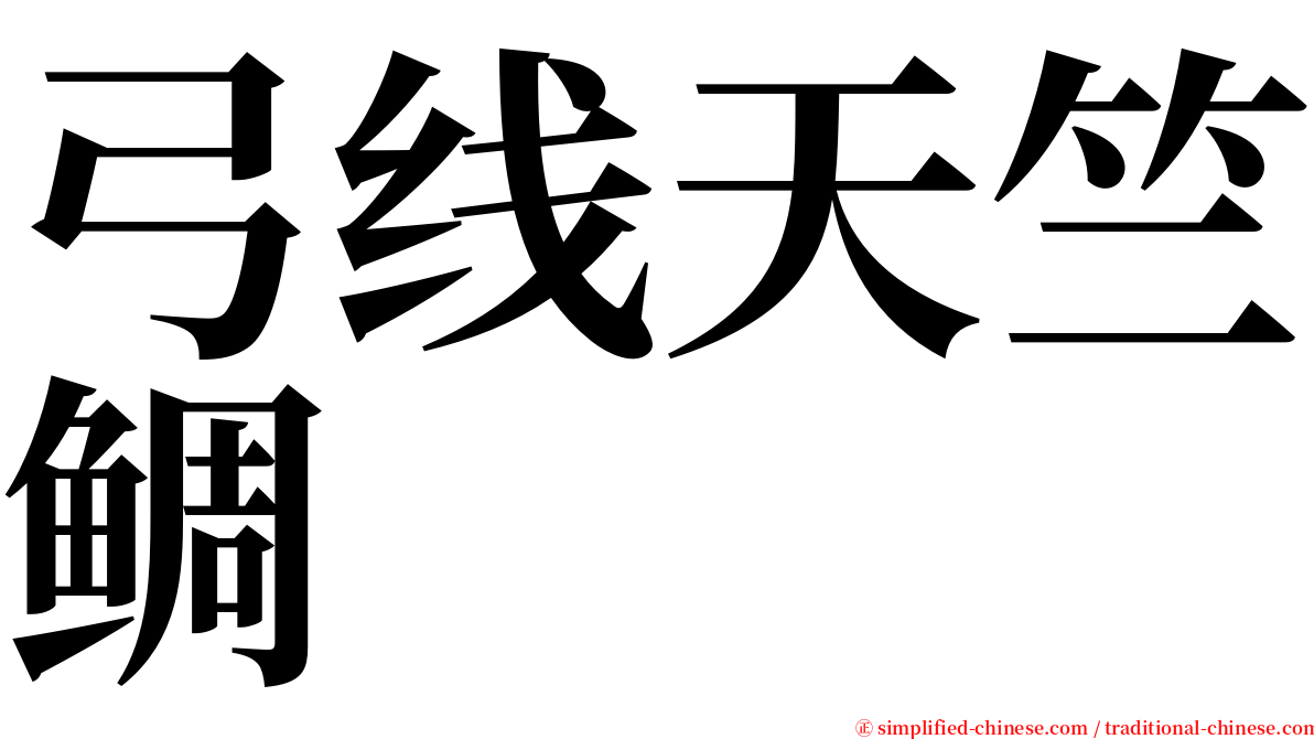 弓线天竺鲷 serif font