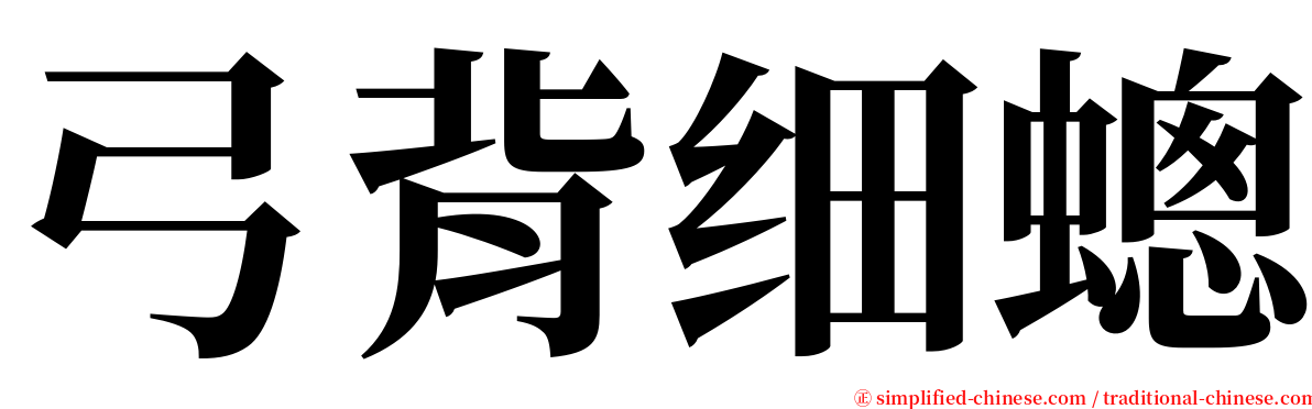 弓背细蟌 serif font