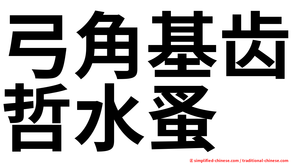 弓角基齿哲水蚤