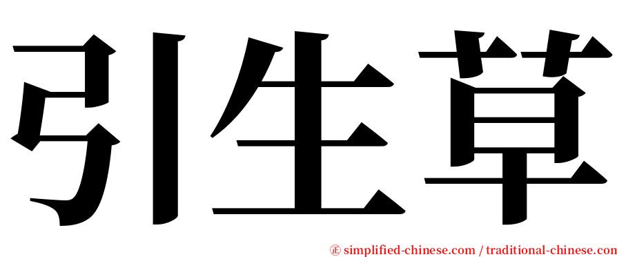 引生草 serif font