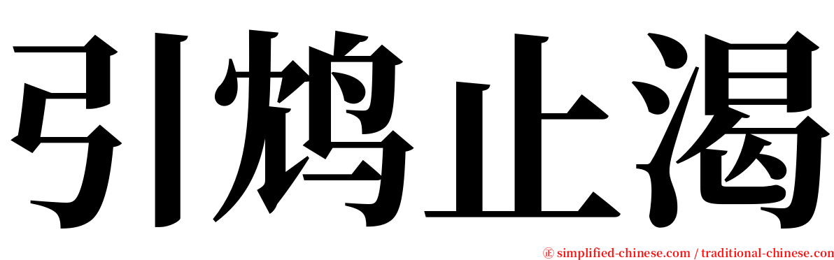 引鸩止渴 serif font