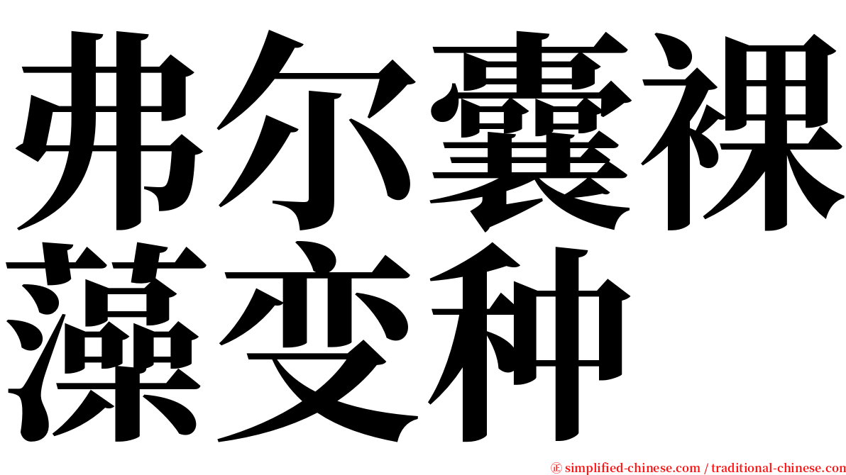 弗尔囊裸藻变种 serif font