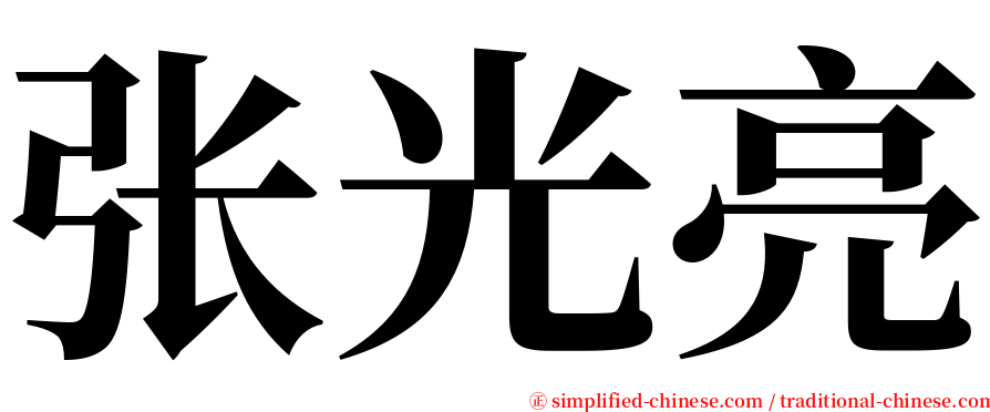 张光亮 serif font