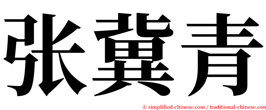 张冀青 serif font