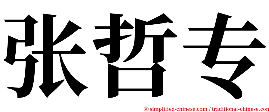 张哲专 serif font