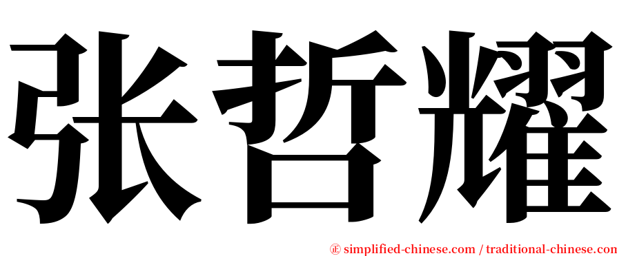 张哲耀 serif font