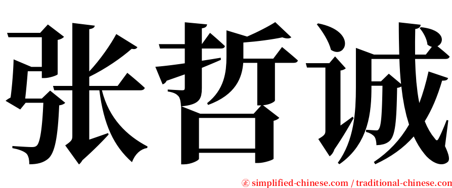 张哲诚 serif font