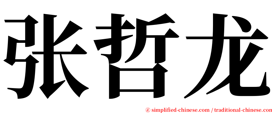 张哲龙 serif font