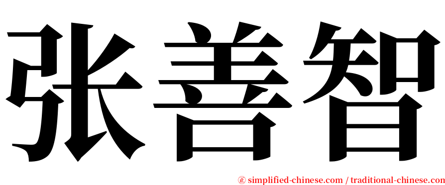 张善智 serif font