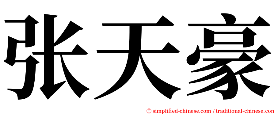 张天豪 serif font