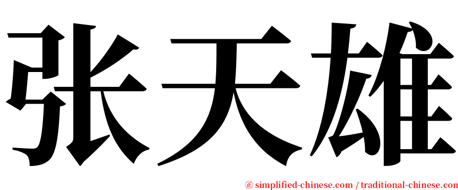 张天雄 serif font