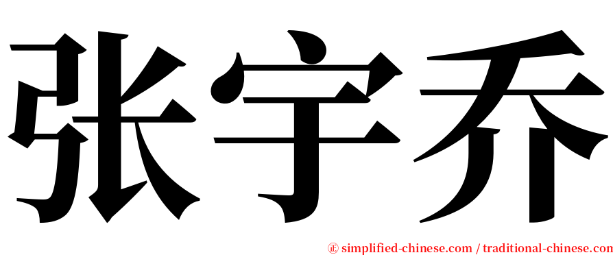 张宇乔 serif font