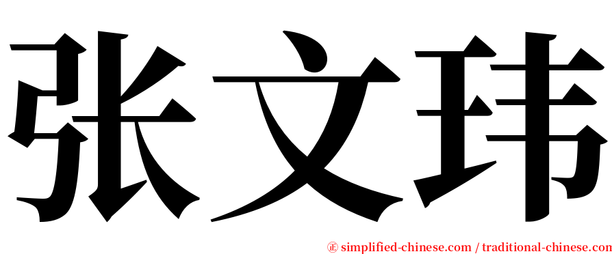张文玮 serif font