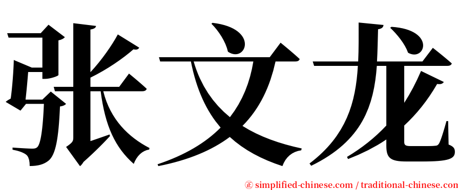 张文龙 serif font
