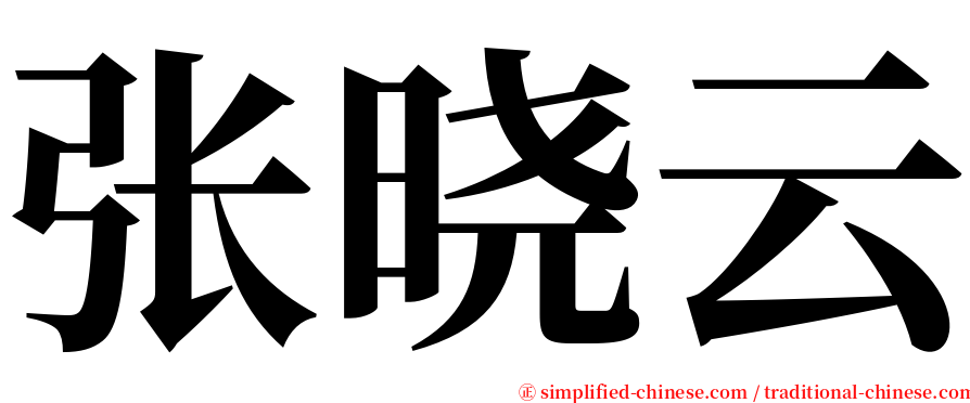 张晓云 serif font