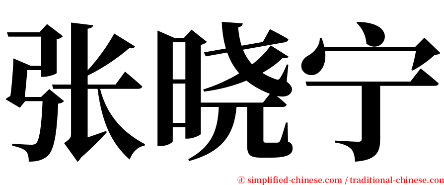 张晓宁 serif font