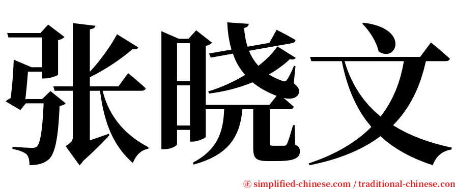 张晓文 serif font