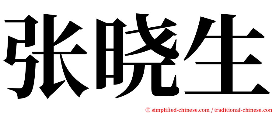 张晓生 serif font
