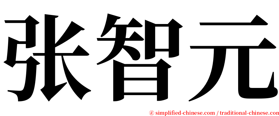 张智元 serif font