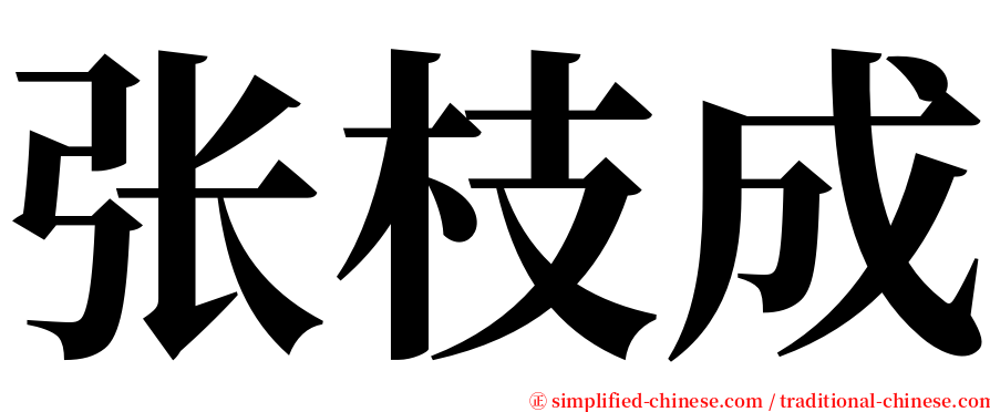 张枝成 serif font