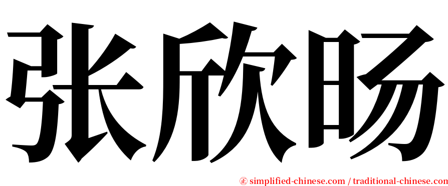 张欣旸 serif font