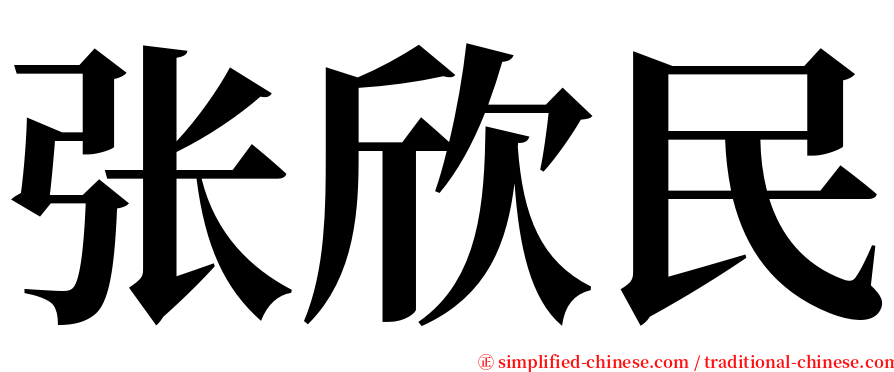 张欣民 serif font