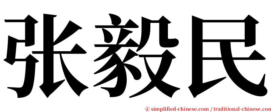 张毅民 serif font