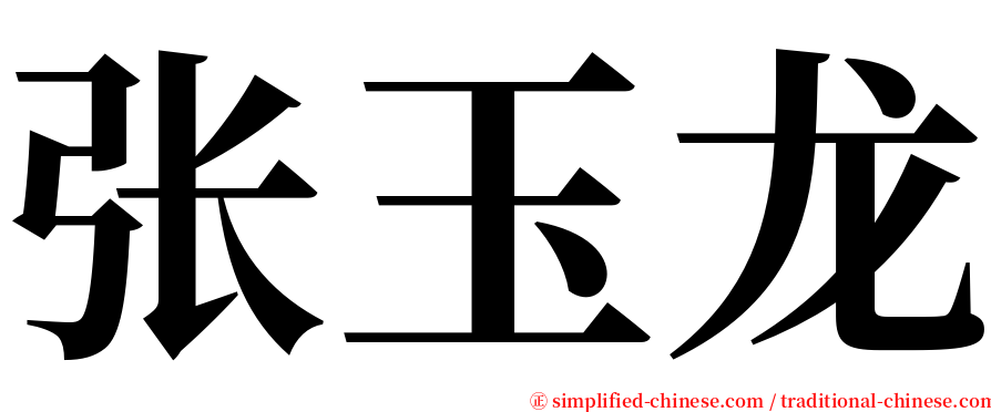 张玉龙 serif font