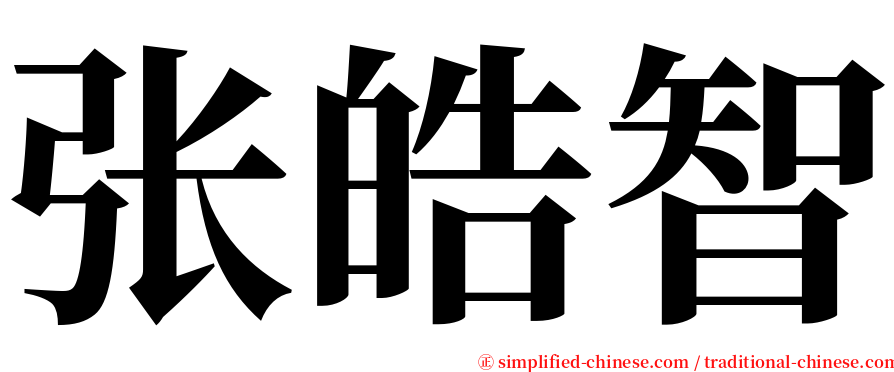 张皓智 serif font