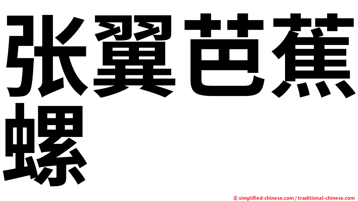 张翼芭蕉螺