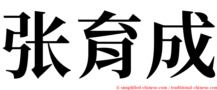 张育成 serif font