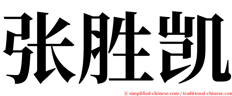 张胜凯 serif font